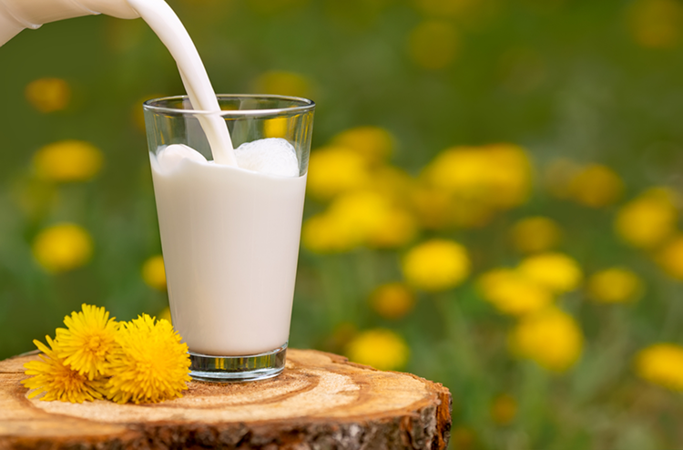 Mengenal Perbedaan Susu Cair & Cara Penyimpanannya: Fresh Milk dan UHT