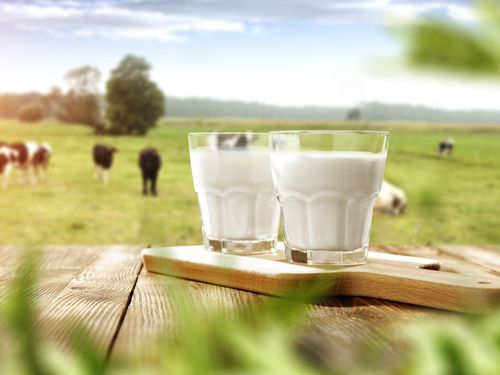 Mitos & Fakta seputar Fresh Milk yang Perlu Diketahui